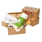 Springhill Farm - Kids Baking Kit Gluten Free