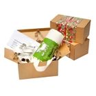 Springhill Farm - Kids Baking Kit Gluten Free - 4 Pack