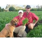 Apthorpe Farm - 1ltr Tubs (Available 1st March)