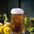 SHOTT Gold Kiwifruit Beer  Recipe with Good Food Warehouse. Best SHOTT Beverages Syrup Wholesaler Australia.