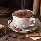 SHOTT Decadent Hot Chocolate Recipe with Good Food Warehouse. Best SHOTT Beverages Syrup Wholesaler Australia.