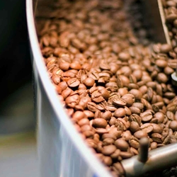 Wholesale Coffee Beans | Wholesale Coffee Roaster | Good Food Warehouse