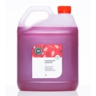 Granita Slush 99% Juice - Raspberry (RED) - Sweet Blends (1x4ltr)