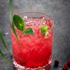 SHOTT Cranberry & Lime Ice Tea Recipe with Good Food Warehouse. Best SHOTT Beverages Syrup Wholesaler Australia.