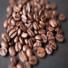 Coffee Beans Australia | Wholesale  Modern Cafe Blend | Good Food Warehouse