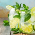 SHOTT Wild Mint Soda Recipe with Good Food Warehouse. Best SHOTT Beverages Syrup Wholesaler Australia.