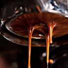 Wholesale Coffee Bean Supplier| Best Coffee Roast Australia | Good Food Warehouse