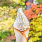 Wholefarm Hokkaido Soft Serve Ice Cream