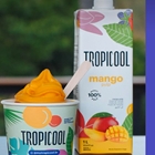 100% Mango Pulp for Soft Serve Machines