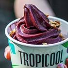 Soft Serve Improver from Tropicool