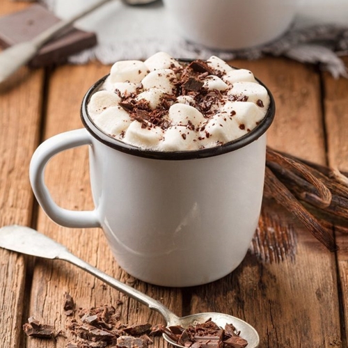 SHOTT Vanilla Hot Chocolate Recipe with Good Food Warehouse. Best SHOTT