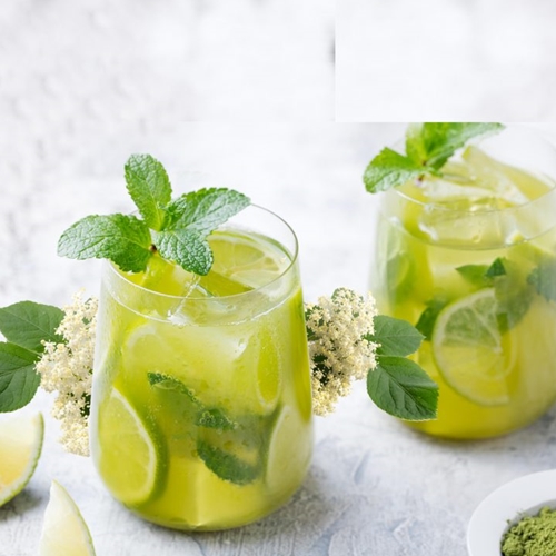 SHOTT Iced Elderflower & Green Tea Recipe with Good Food Warehouse. Best SHOTT Beverages Syrup Wholesaler Australia.