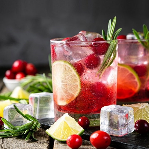 SHOTT Cranberry & Lime Cider Recipe with Good Food Warehouse. Best SHOTT Beverages Syrup Wholesaler Australia.