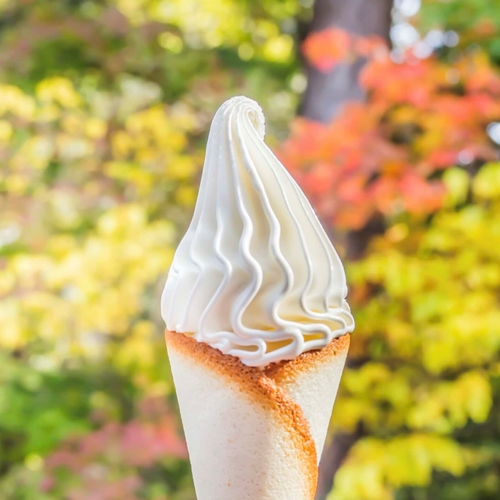 Wholefarm Hokkaido Soft Serve Ice Cream