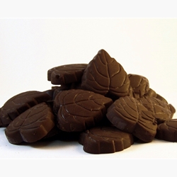 Order 54% Dark Sugar Free Chocolate Oak Leaf Online Good Food Warehouse. Wholesale Chocolate Distributor.