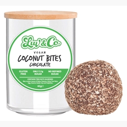 Coconut Choc Vegan Protein Balls