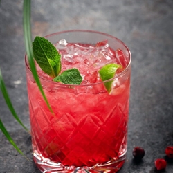 SHOTT Cranberry & Lime Ice Tea Recipe with Good Food Warehouse. Best SHOTT Beverages Syrup Wholesaler Australia.