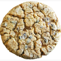 Large Salted Caramel Cookies | The Original Gourmet Wholesale Wrapped Cookies | Good Food Warehouse