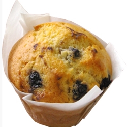 Wrapped Blueberry Muffins | The Original Gourmet Muffins Supplier | Good Food Warehouse