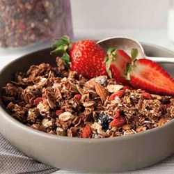 Adelia Bulk Raw Chocolate Goji Almond Granola | Bulk Healthy Granola | Good Food Warehouse