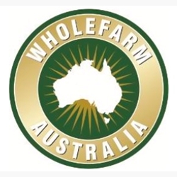 Wholesale Soft Serve Ice Cream Cafe Distributor