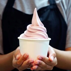 Wholefarm Soft Serve Ice Cream Powder Samples